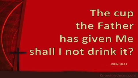 John 18:11 The Cup My Father Has Given Me (red)